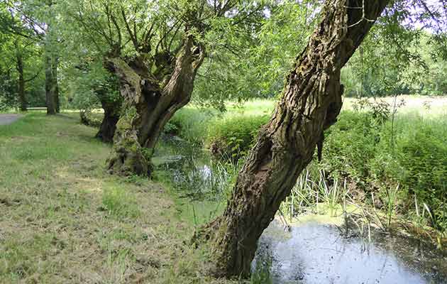 Tull en 't Waal Eiland van Schalkwijk