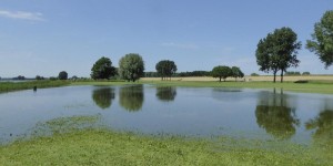 Tull en 't Waal Eiland van Schalkwijk