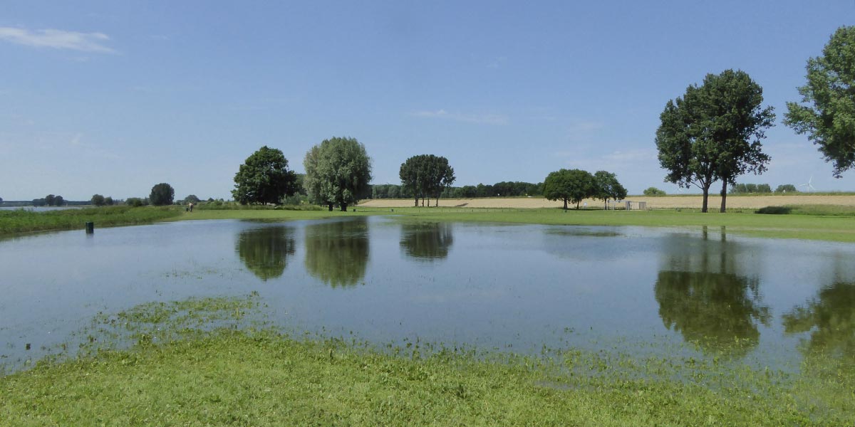 Eiland van Schalkwijk