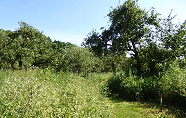 Tull en 't Waal Eiland van Schalkwijk