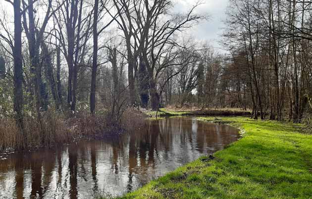 Natuurvisie Geldrop Mierlo