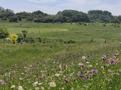 Leve de biodiversiteit!