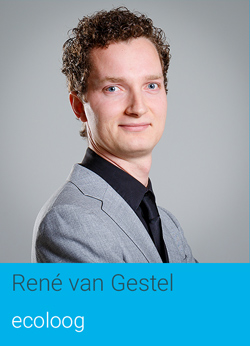 Rene van Gestel