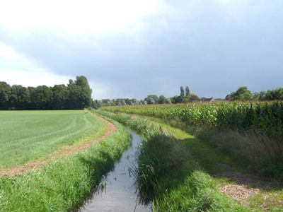 Omgevingsplan Landelijk Gebied Zutphen ligt ter inzage