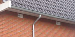 gierzwaluw inbouwsteen