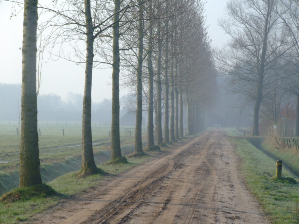 Het raamwerk van oude zandwegen in Het Opbroek Oost blijft intact en transformeert tot een netwerk van langzaamverkeersroutes.