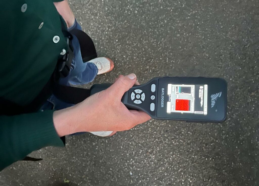 close-up van hand met een batdetector