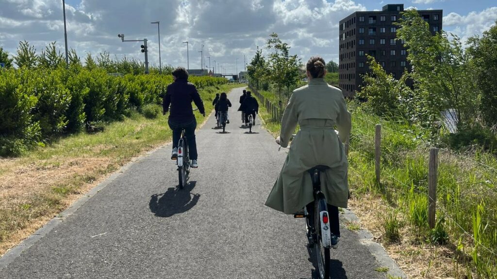 Mensen op de fiets, van achteren gefotografeerd. 