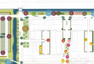 Beplantingsplan van boven.