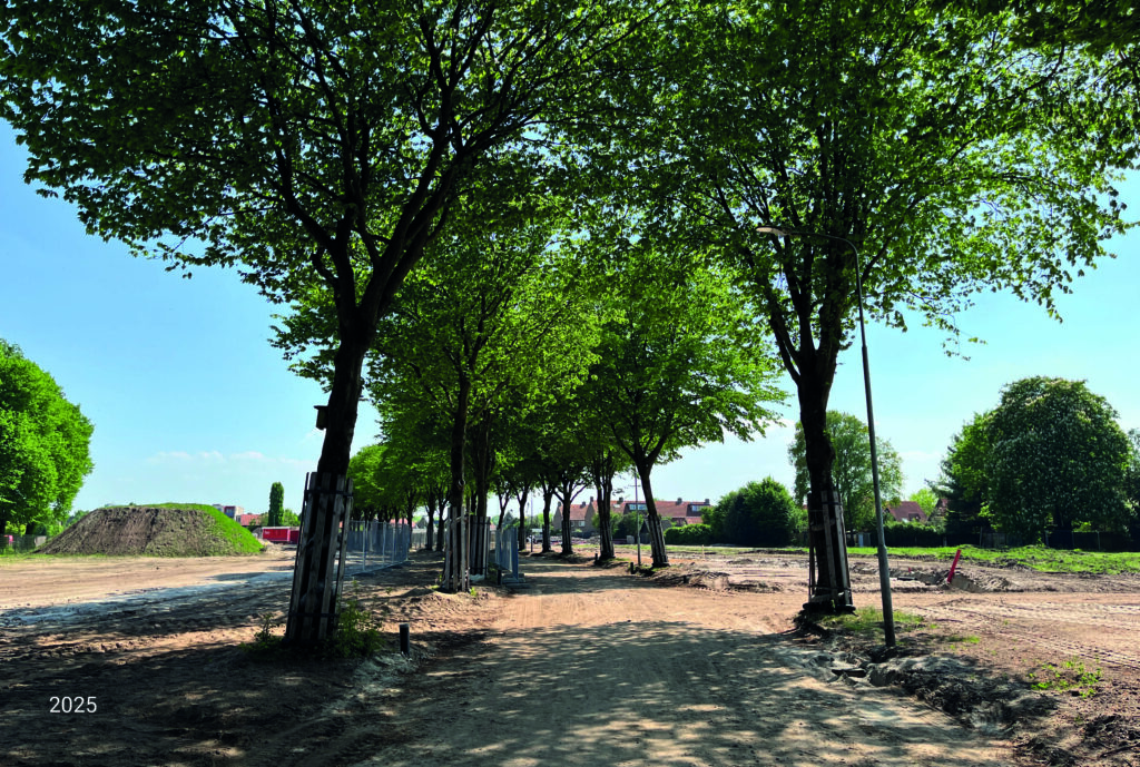 Wethoudersbuurt in 2025. De bomenrij staat overeind in een zandvlakte waar eerder woningen stonden die nu gesloopt zijn.