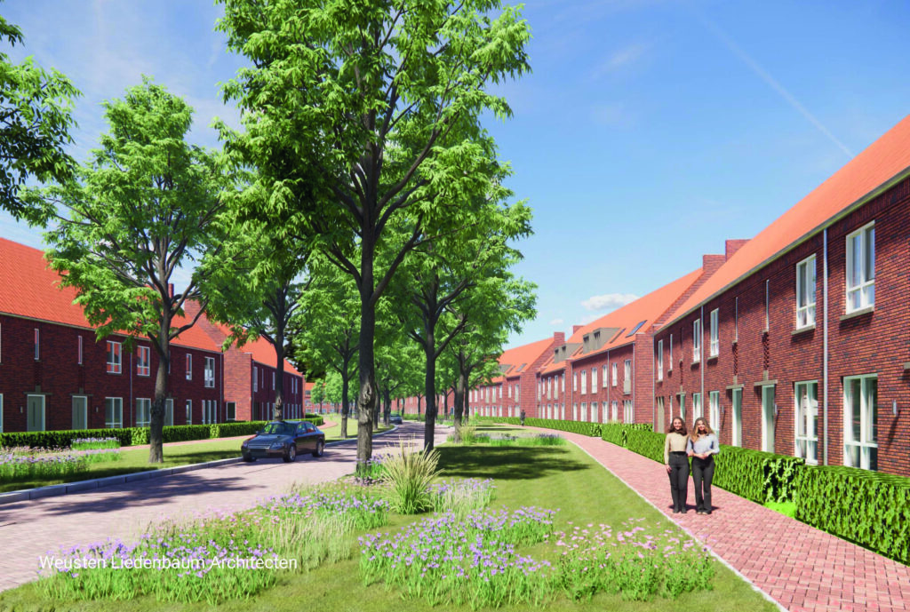 Visual van de architect